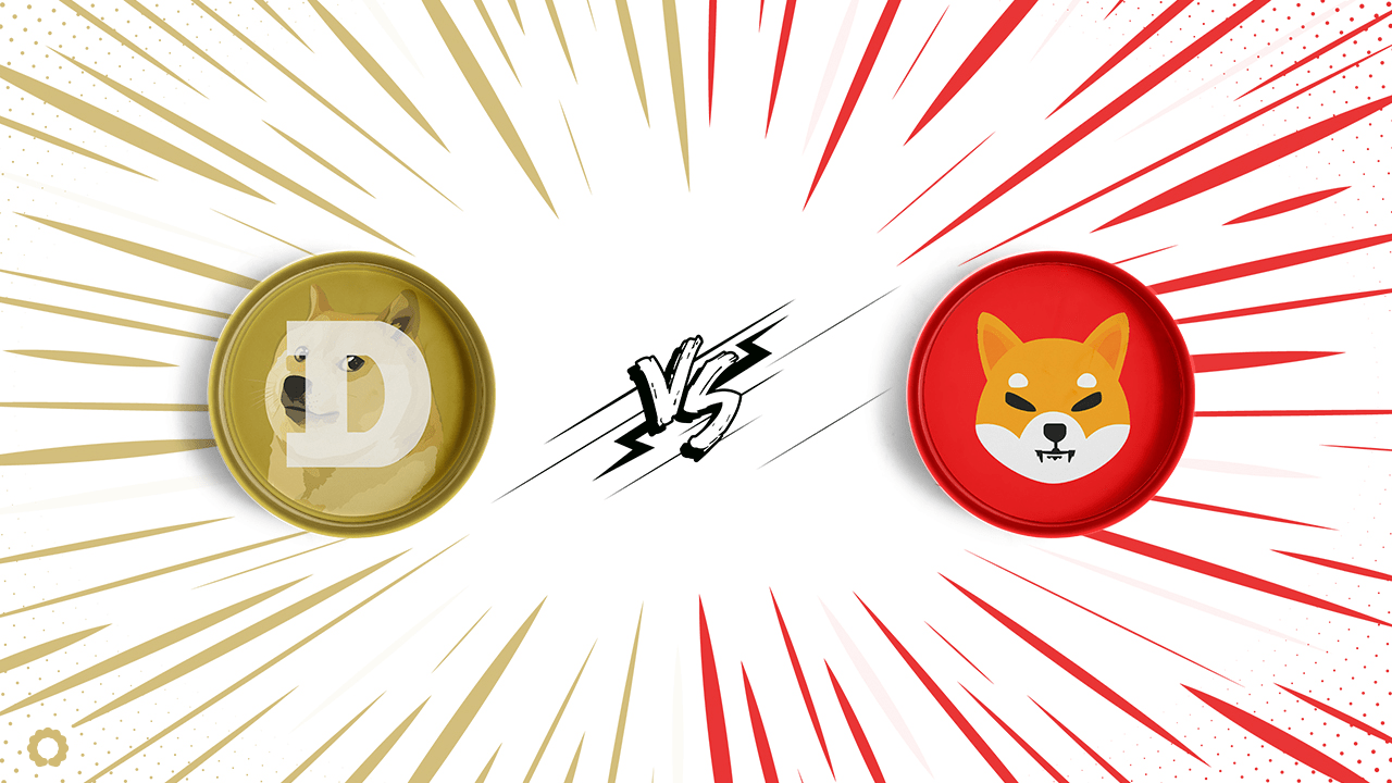 Doge vs Shiba coin